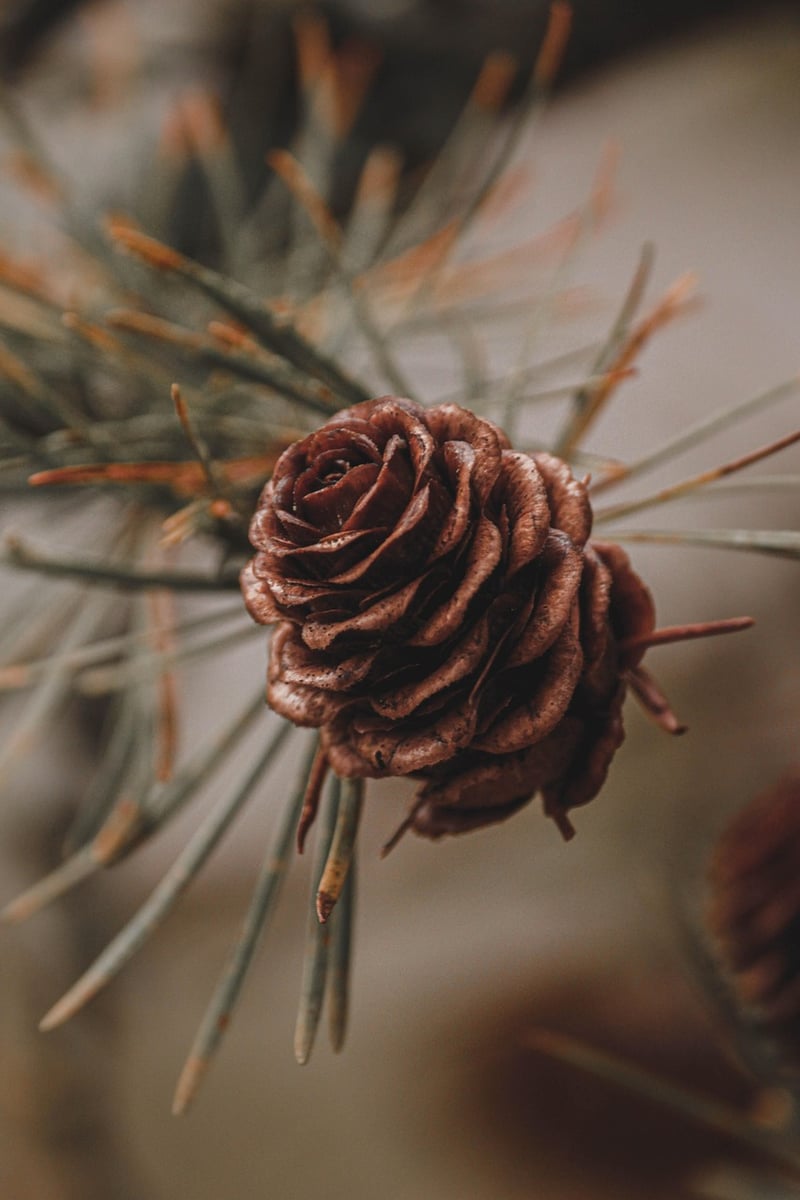 Forest Wedding